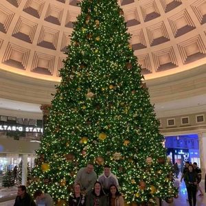 Meet your Posher, Christy jennings